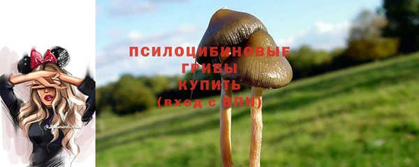 jwh Медвежьегорск