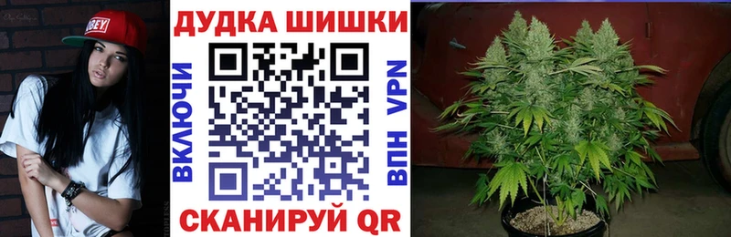 Конопля семена  Купить где  Макушино 